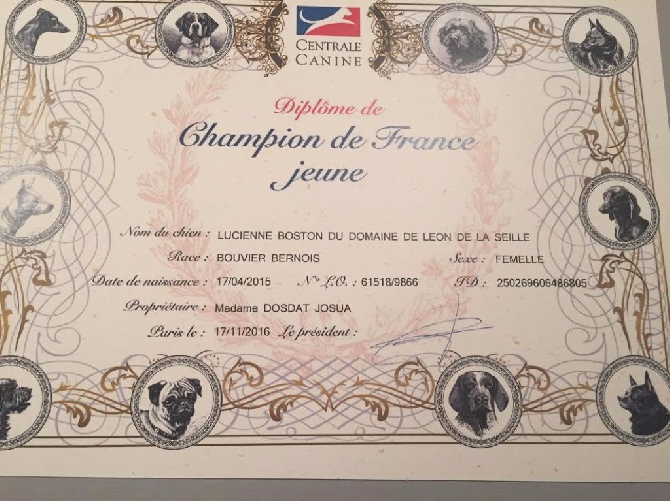 du Domaine De Léon De La Seille - Championne de France jeune 2016