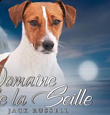 L'astuce du Domaine De Léon De La Seille