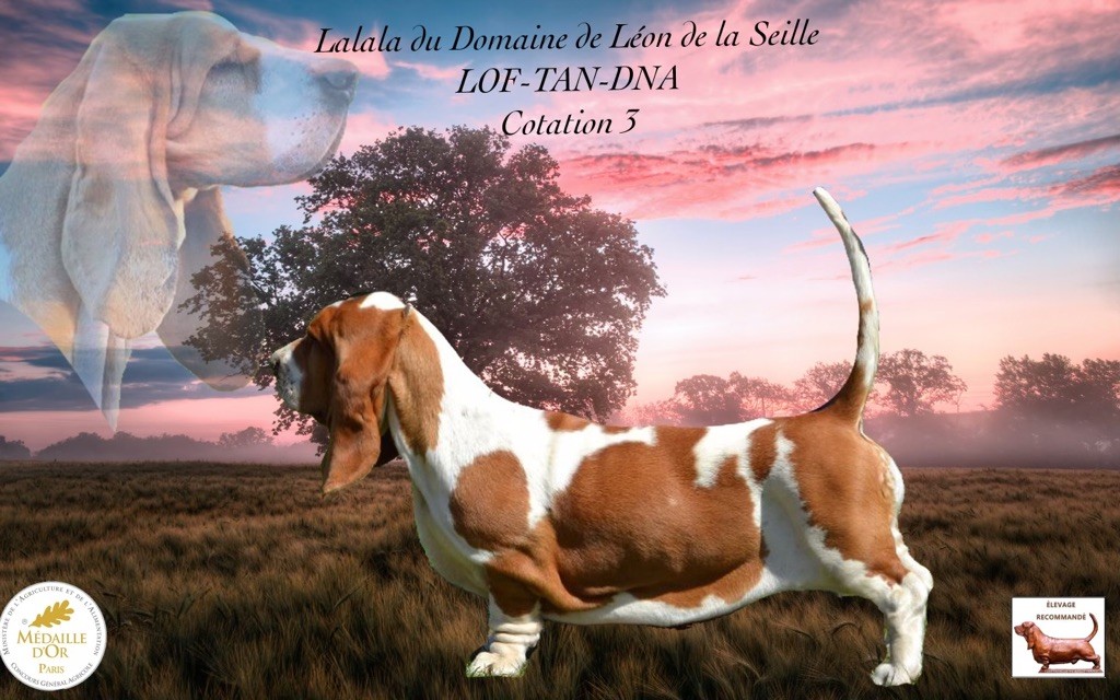 Lalala du Domaine De Léon De La Seille