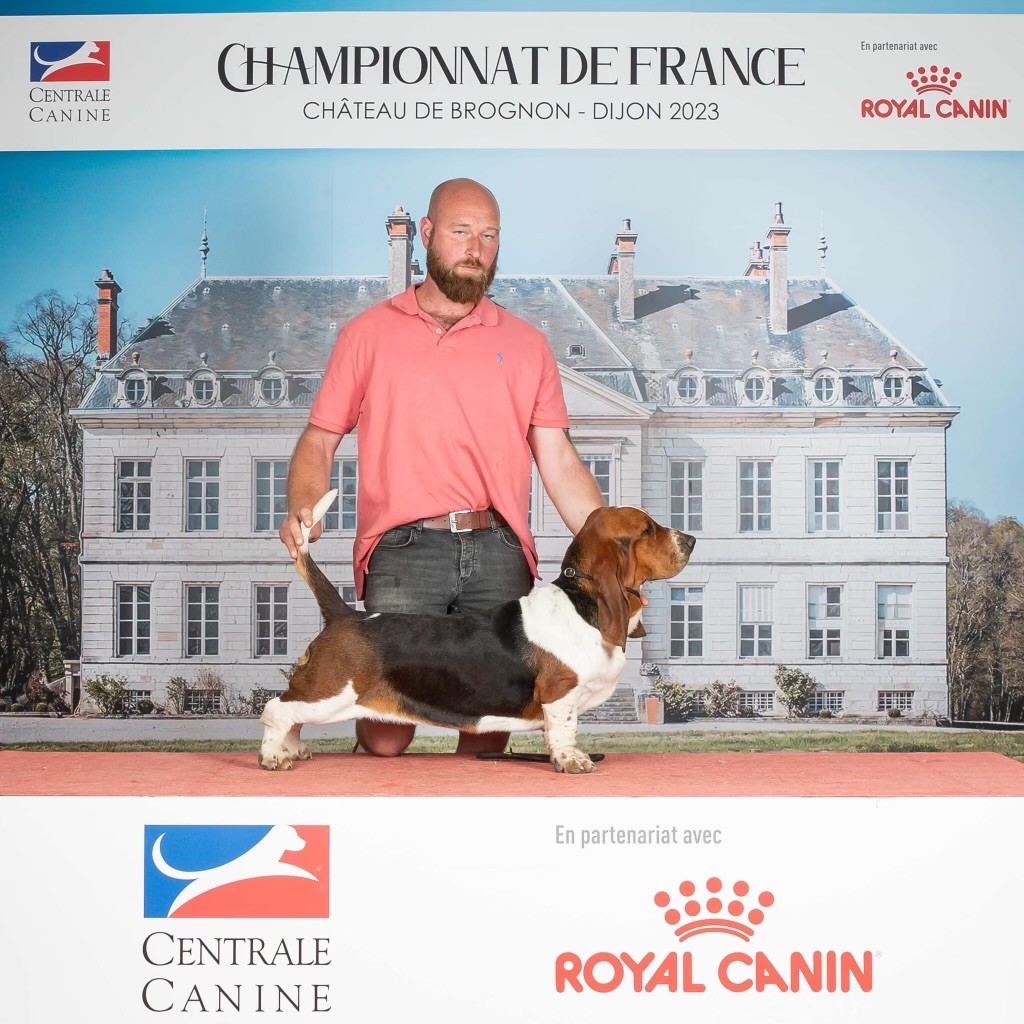 The best in show du Domaine De Léon De La Seille