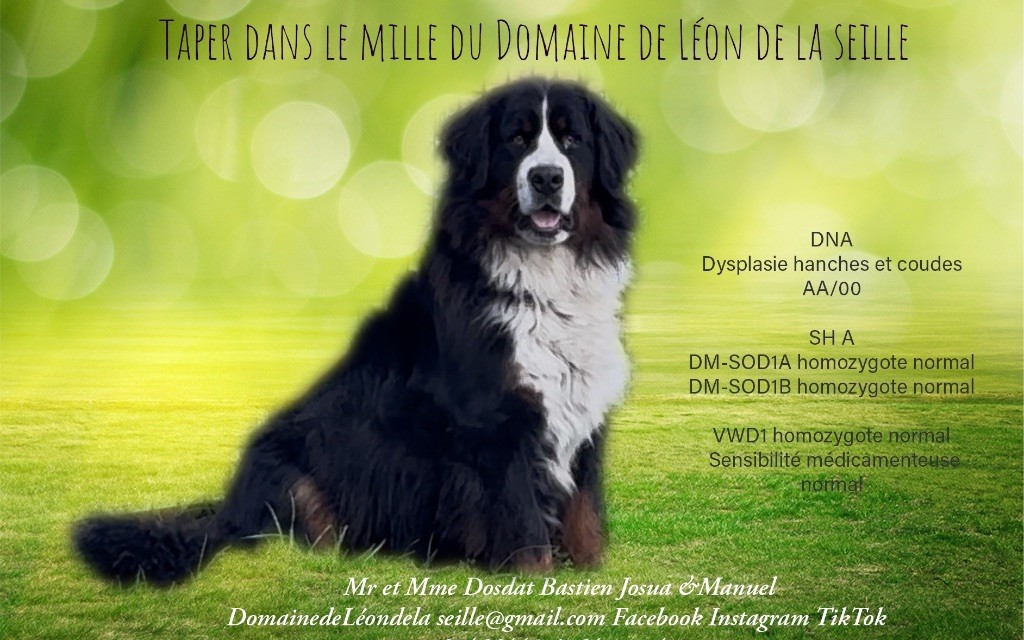 Taper dans le mille du Domaine De Léon De La Seille