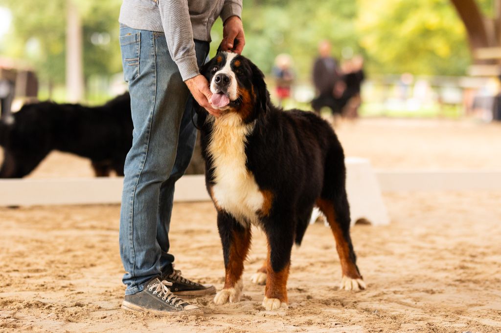 Vador dark vador du Domaine De Léon De La Seille