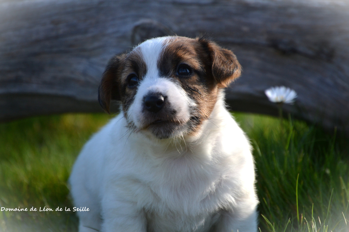 Des bébés sont nés✨