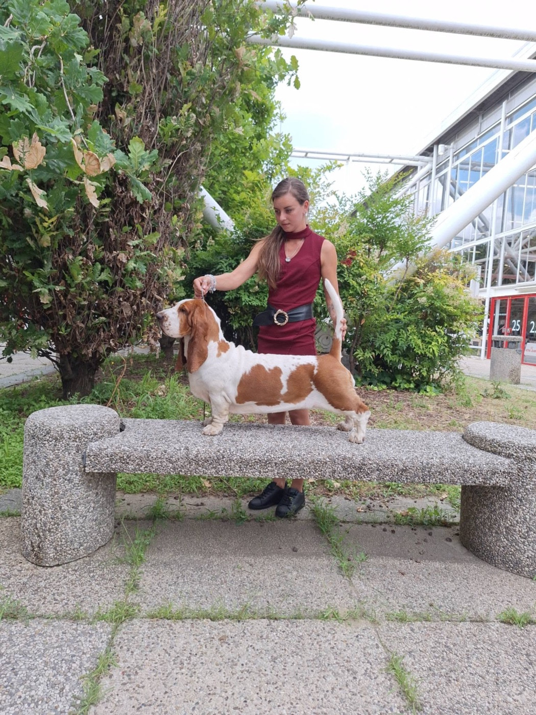WORLD DOG SHOW ITALIE