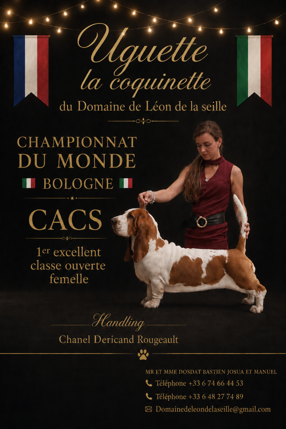 WORLD DOG SHOW ITALIE