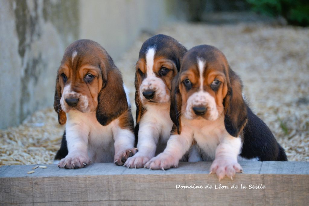 DES BEBES SONT NES