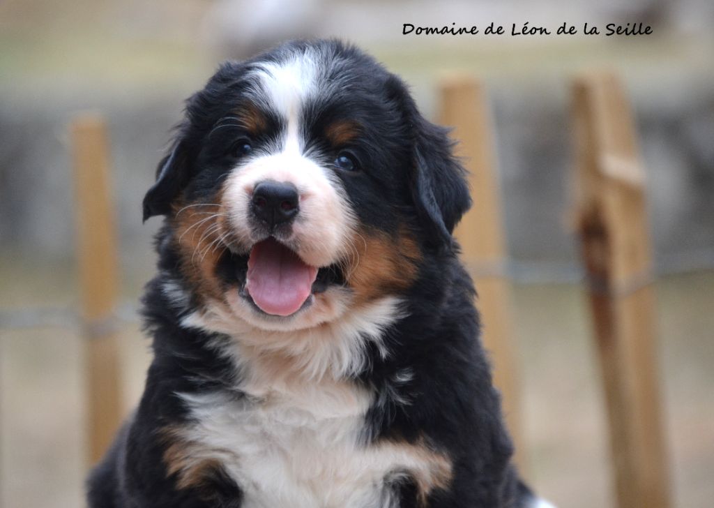 DES BEBES SONT NES