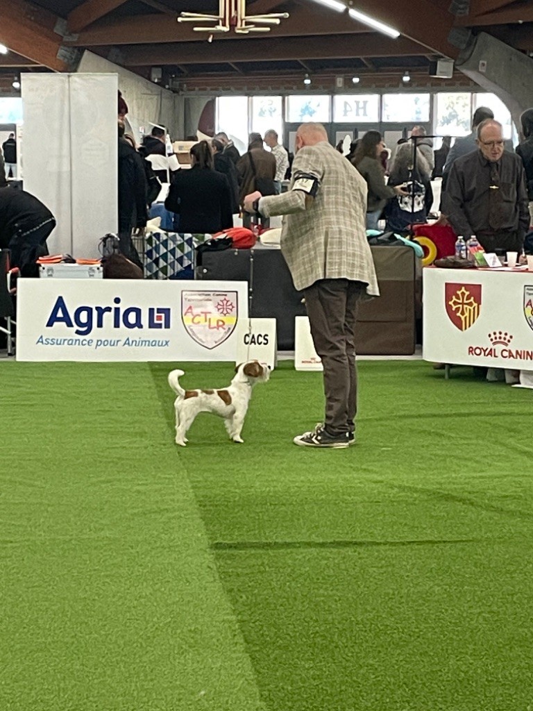 du Domaine De Léon De La Seille - CACS CACIB PERPIGNAN 2023